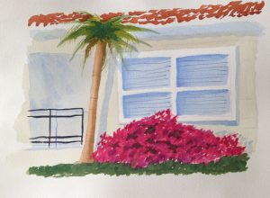 Sarrasota window
