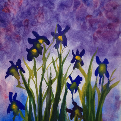 Irisis
