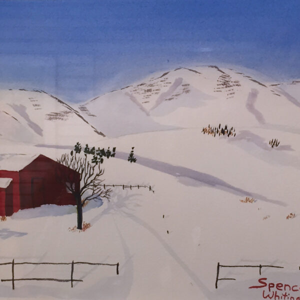 Mountain Homestead