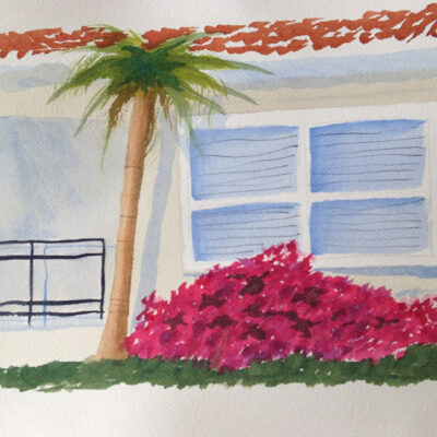 Sarrasota Bouganvilla - Collection of Wendy Hughes