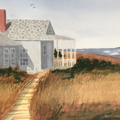 Cape Cod Sanctuary