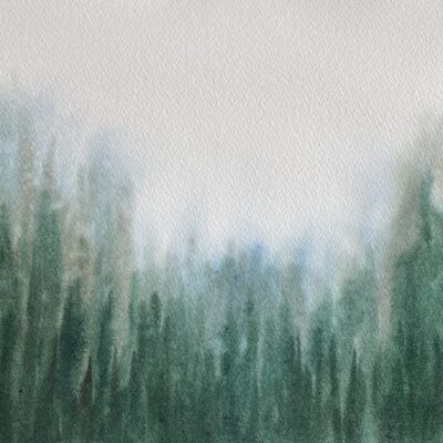 Fog Valley